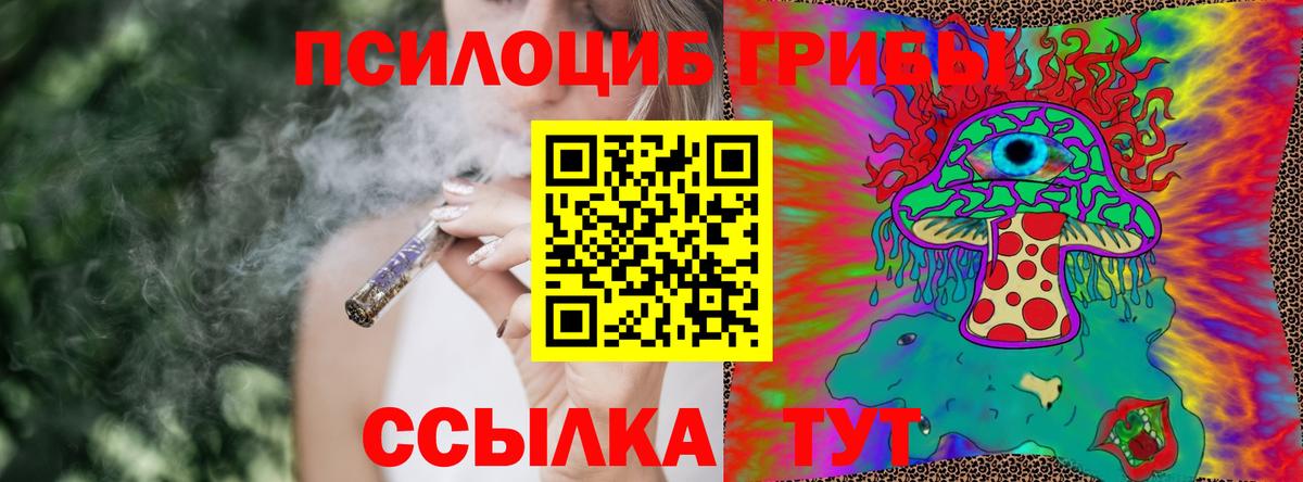 Псилоцибиновые грибы мухоморы Тавда